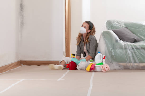 Reliable Mold Cleanup contractor in Garysburg, NC by WQB Mold Removal